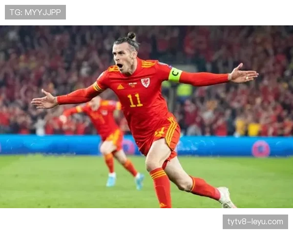 维罗纳边路进攻火力全开,状态回暖强势攀升积分榜 维罗纳边路进攻火力全开,状态回暖强势攀升积分榜